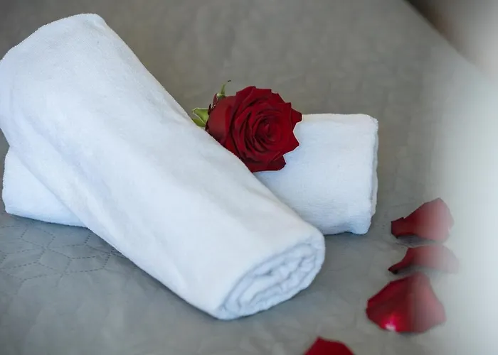 阿伦娜别墅公寓 *